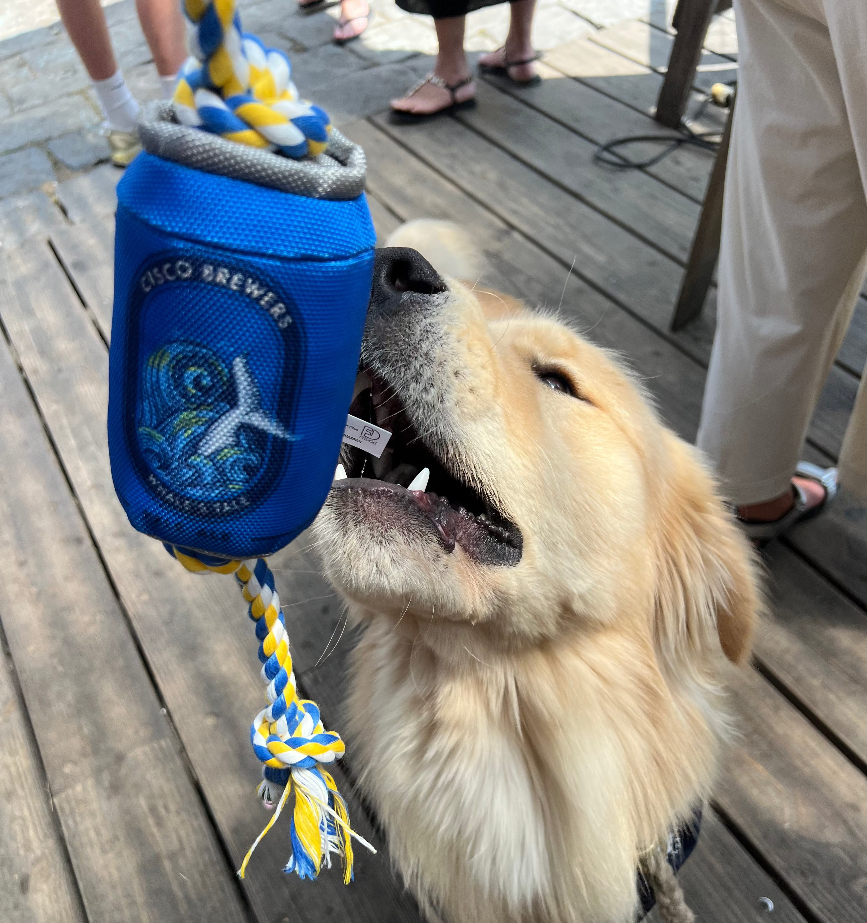 Dog Rope Toy