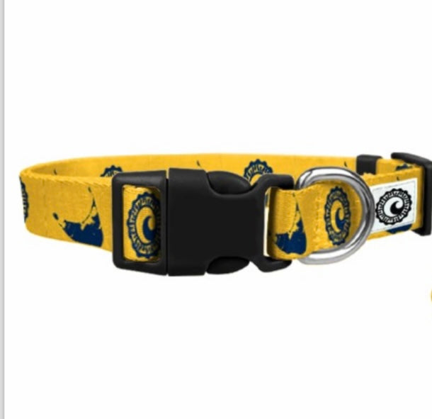 Cisco Brewers Dog Collar