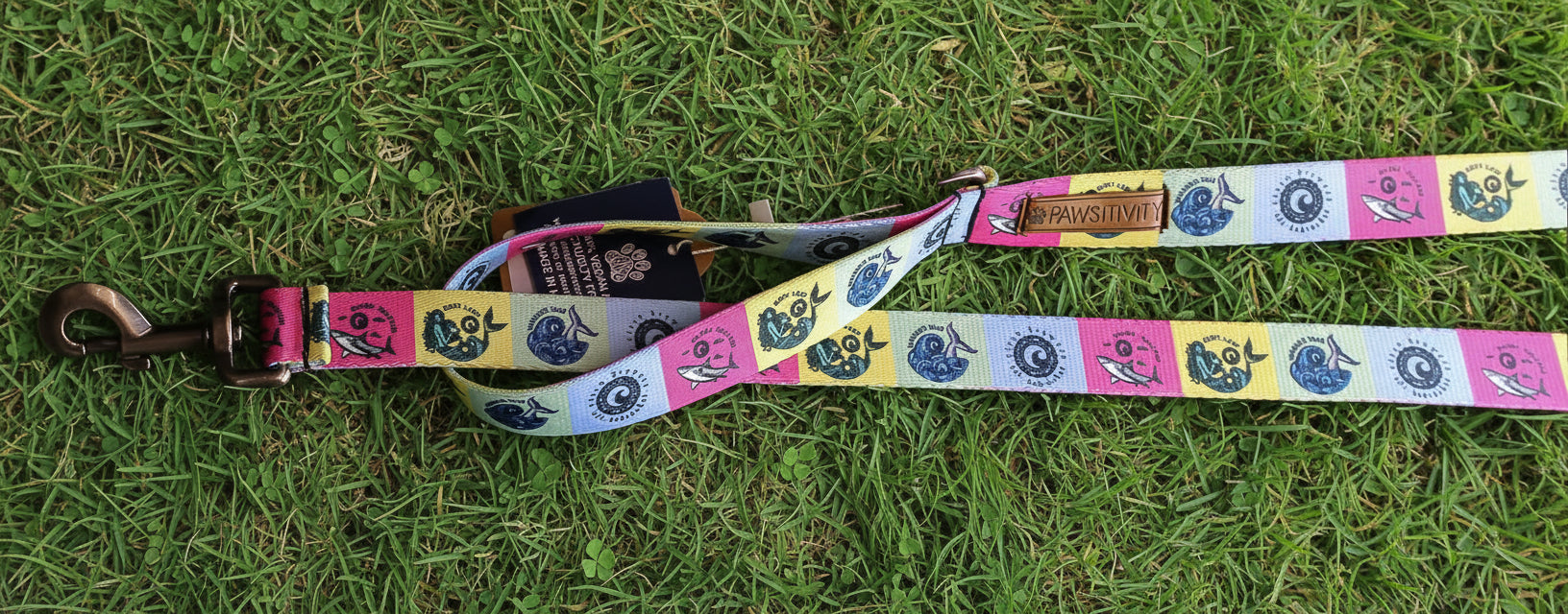 Pawsitivity Beer Label Dog Leash
