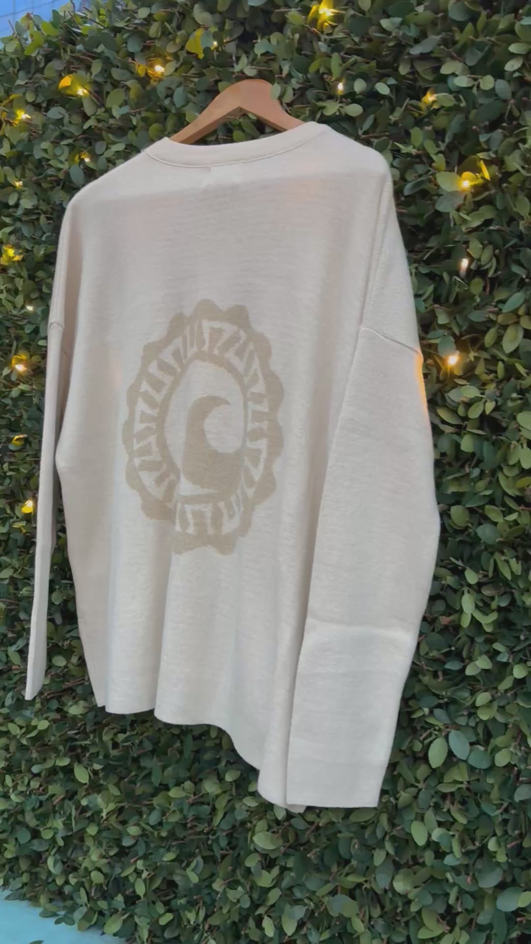 Load video: Cisco Logo Icon Sweater