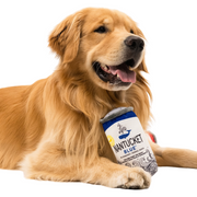 Nantucket Blue Dog Chewy Toy