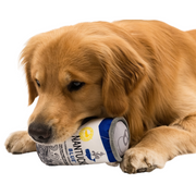Nantucket Blue Dog Chewy Toy