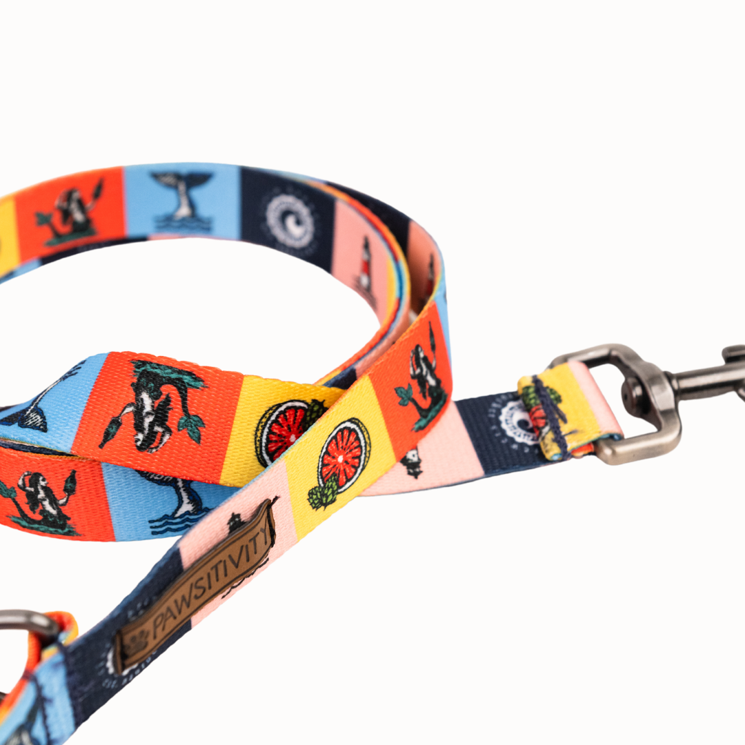 Pawsitivity Rainbow Dog Leash