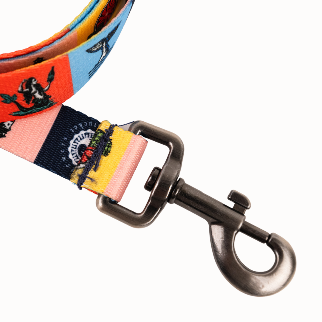 Pawsitivity Rainbow Dog Leash