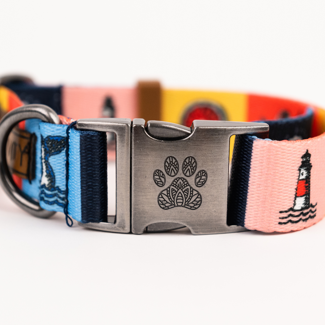 Pawsitivity Rainbow Dog Collar