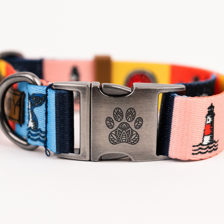 Cisco Brewers Pawsitivity Rainbow Dog Collar