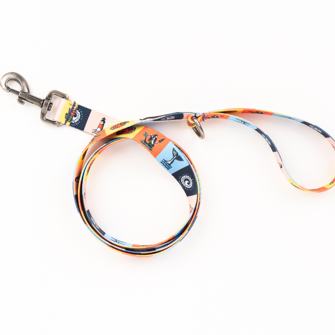 Pawsitivity Rainbow Dog Leash