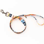 Cisco Brewers Pawsitivity Rainbow Dog Leash