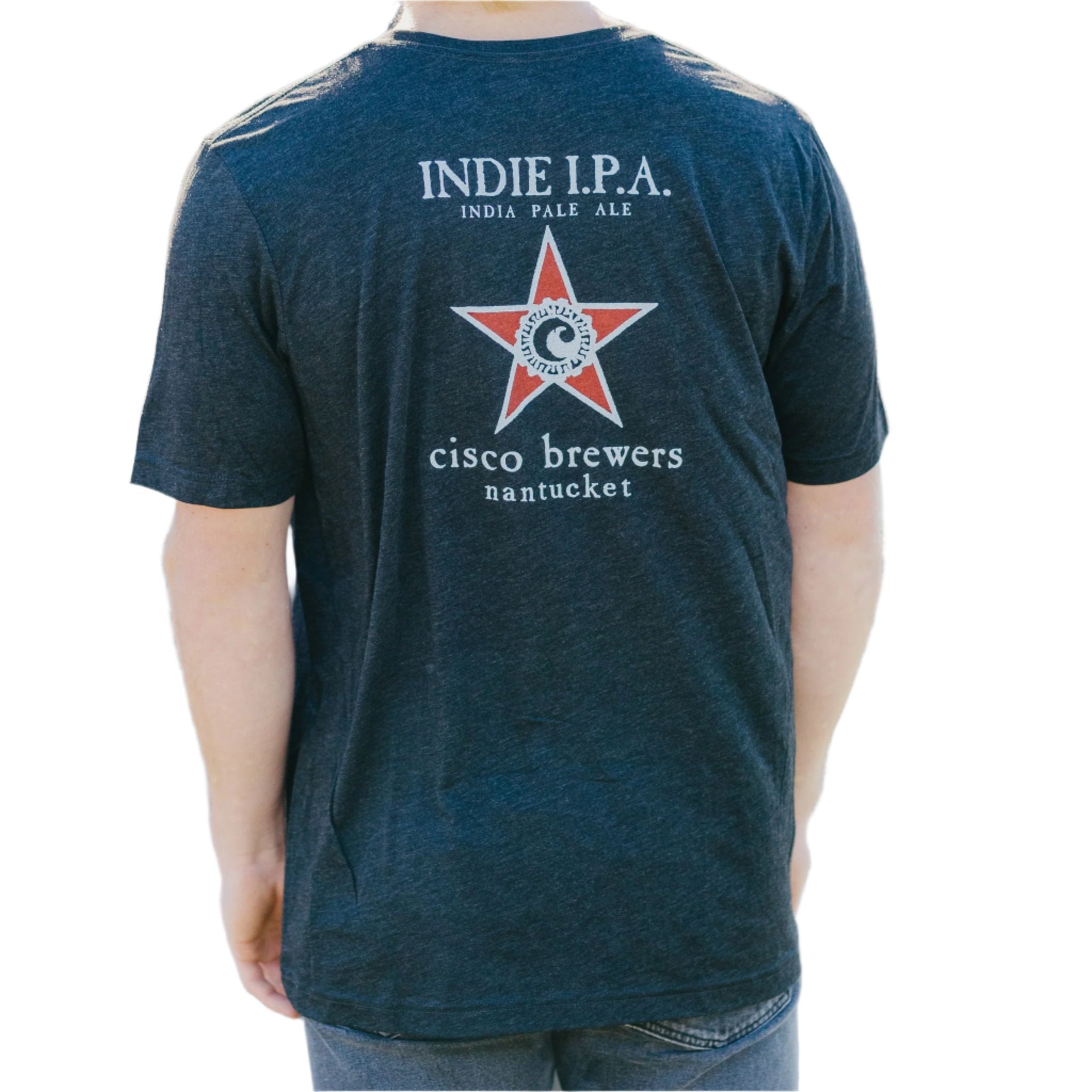 Indie IPA Triblend T-Shirt