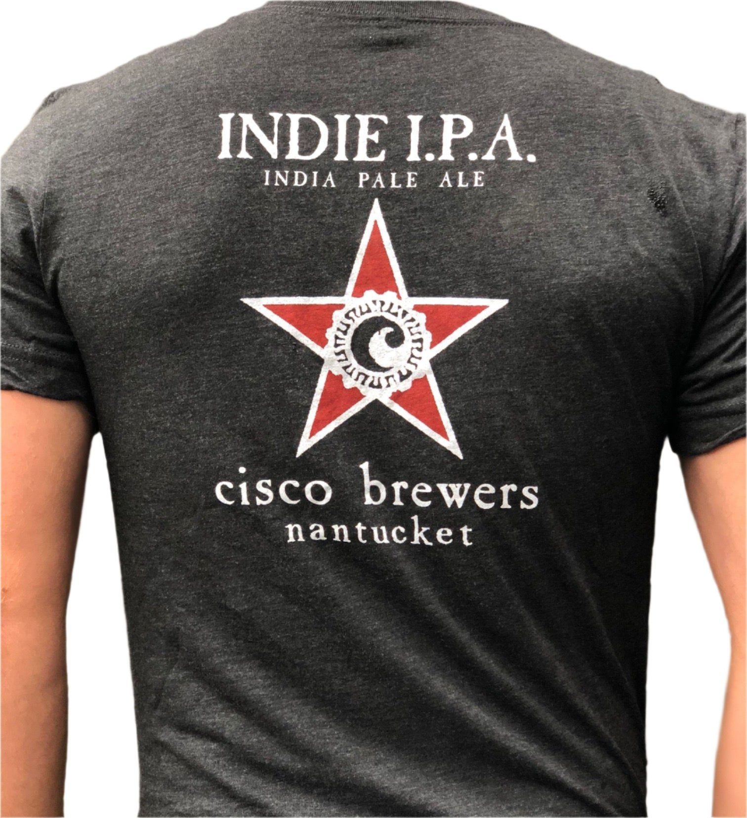 Indie IPA Triblend T-Shirt